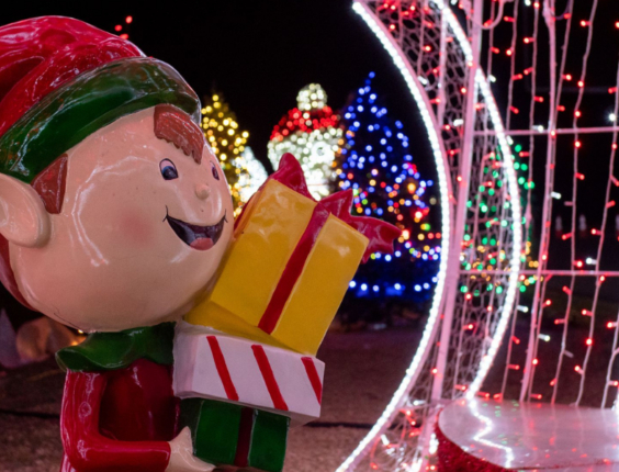 Home of the World Championships | Circuit of The Americas